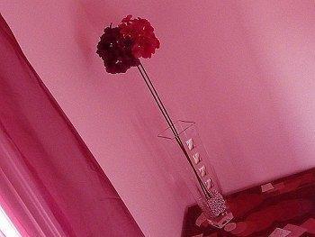 Bed & Breakfast 3B Bordighera Luaran gambar